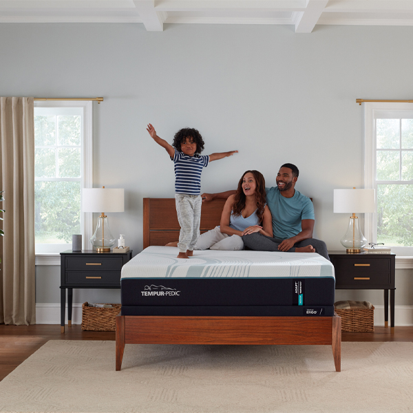 Tempur-Pedic Mattress